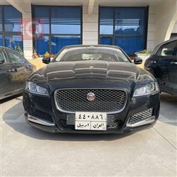 جاكوار XF